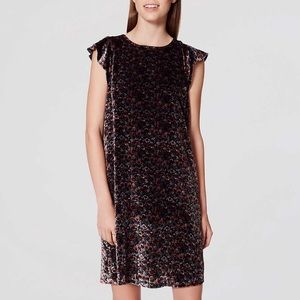 Loft Petite Velvet Flower Dress